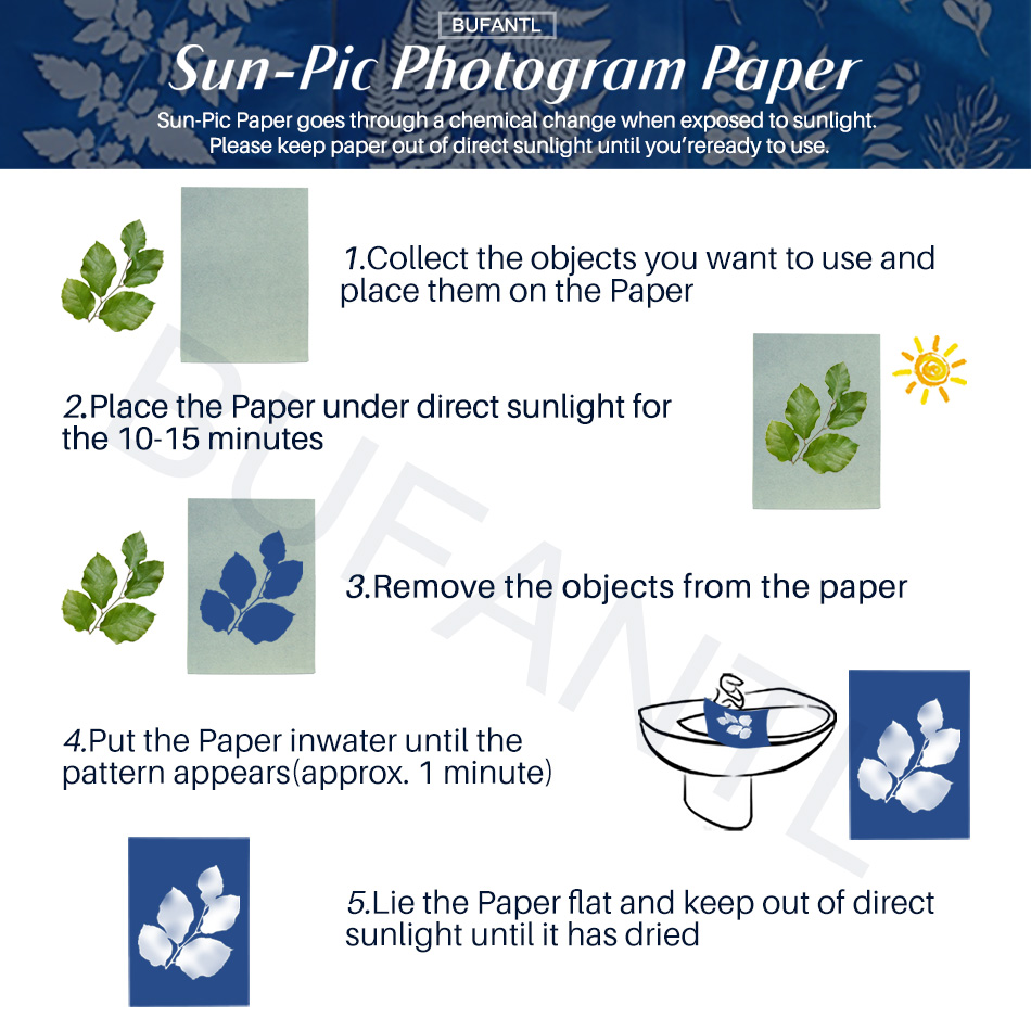 Cyanotypie-Papier 12 Blatt Nac – Photography Lighting For Beginners Bewertung und Preis