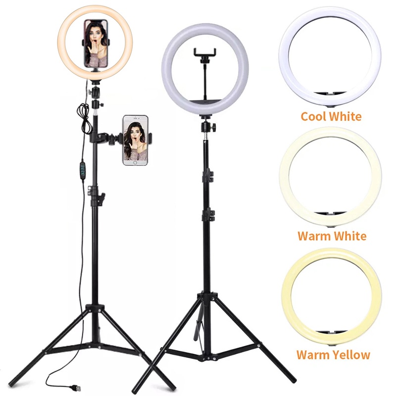 6/10/12 Zoll LED-Selfie-Ringli – Photography Lighting Wand Bewertung und Preis