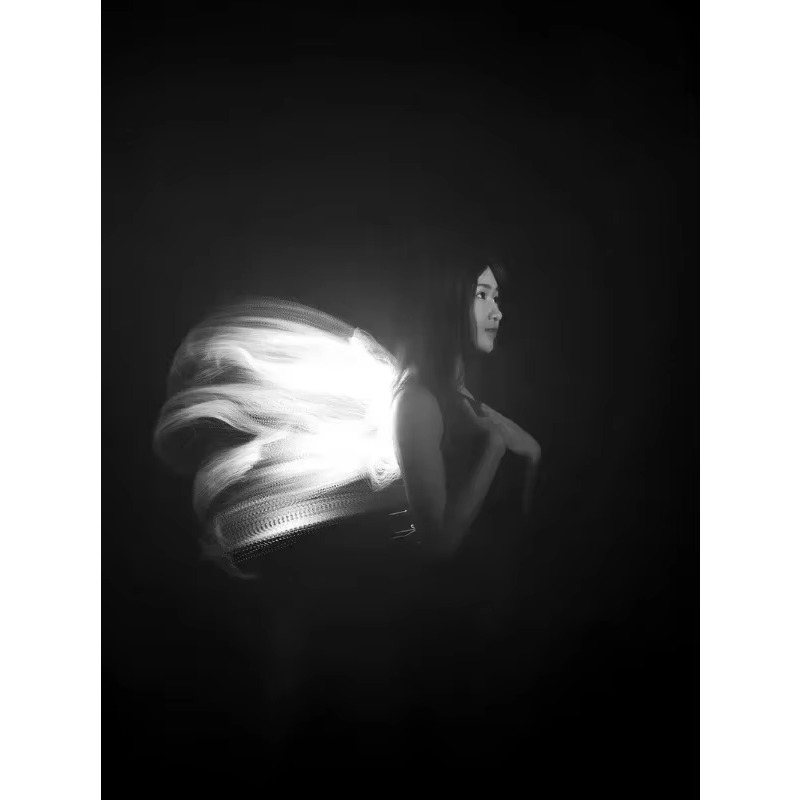 LLP Lichtbürstenmodul für Lich – Photography Lighting Guide Bewertung und Preis