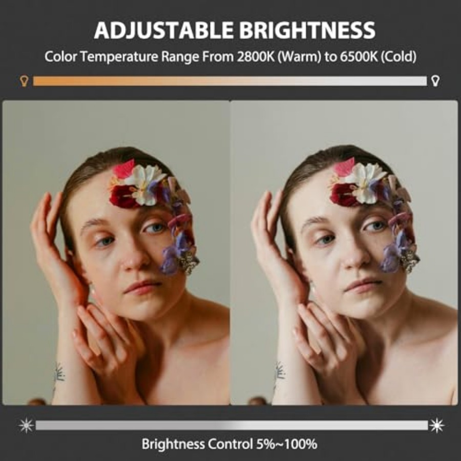 60W COB LED-Videoleuchte, trag – Photography Lighting Color Bewertung und Preis