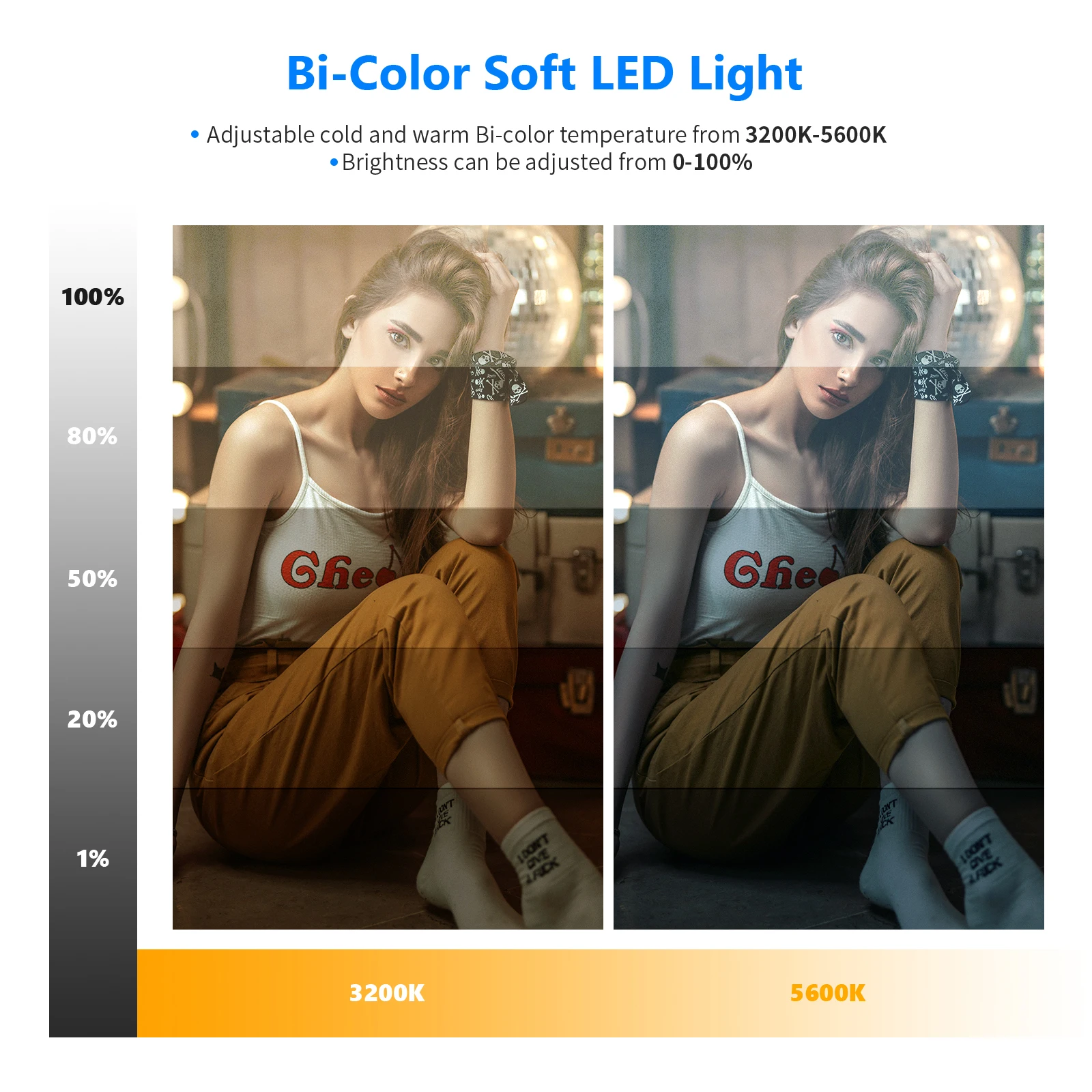 Neewer Dimmbares LED-Videopane – Photography Lighting Kit Neewer Bewertung und Preis