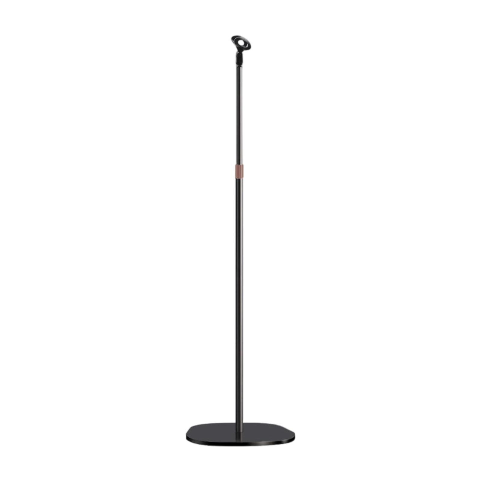 Mikrofonständer, praktisch, ei – Boom Arm Stand Bewertung und Preis