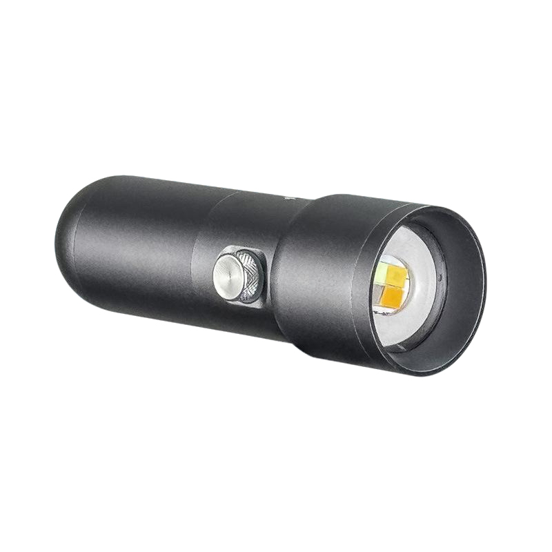 SL15 10W Batteriebetriebenes M – Portrait Photography With Lighting Bewertung und Preis
