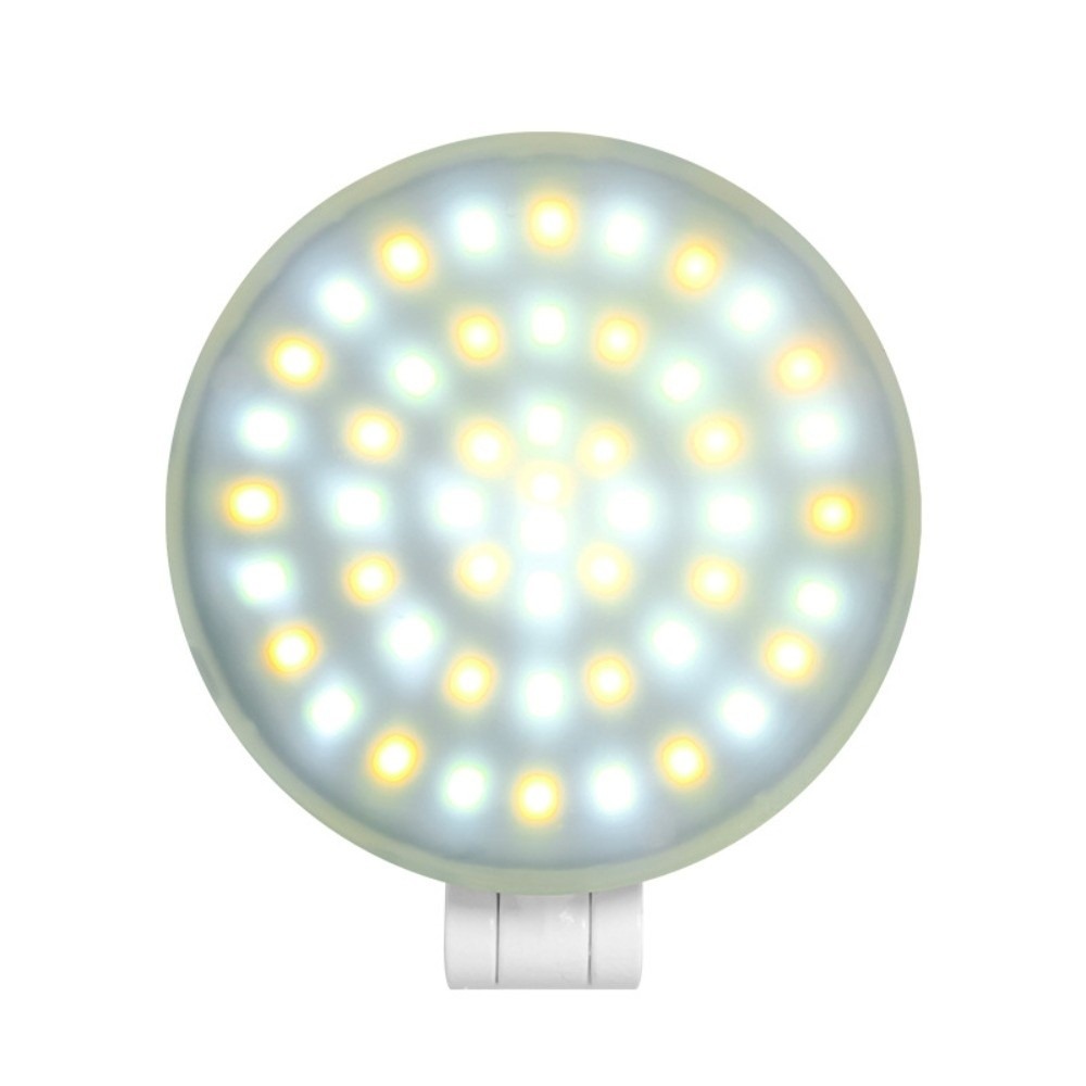 3000-6500K Tragbares Mini-Füll – Photography Lighting Color Bewertung und Preis
