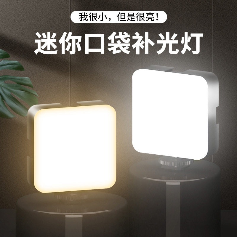 Tragbare Taschen-Videoleuchte  – Portrait Photography With Lighting Bewertung und Preis